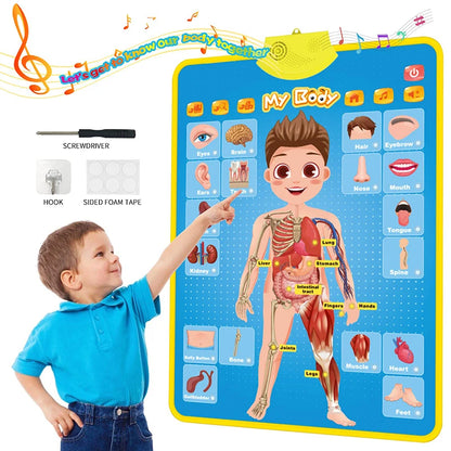 Talking Alphabet Wall Chart
